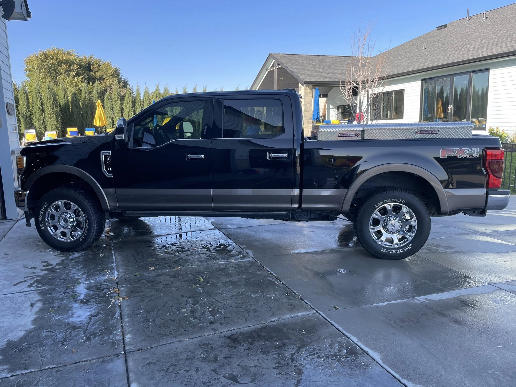 Detailed hood reflecting sunlight after ceramic coating service